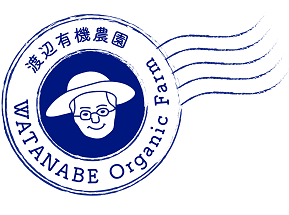 SAMPLE WEBSITE